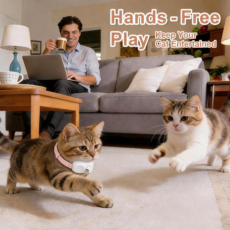Smart Laser Cat Collar