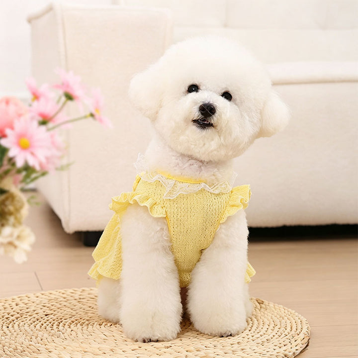 Summer Princess Dog Dress
