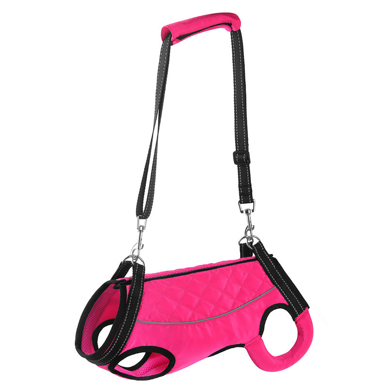 Multifunctional dog support suit