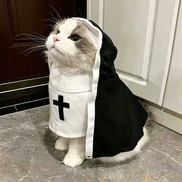 Halloween Pet Costume Set