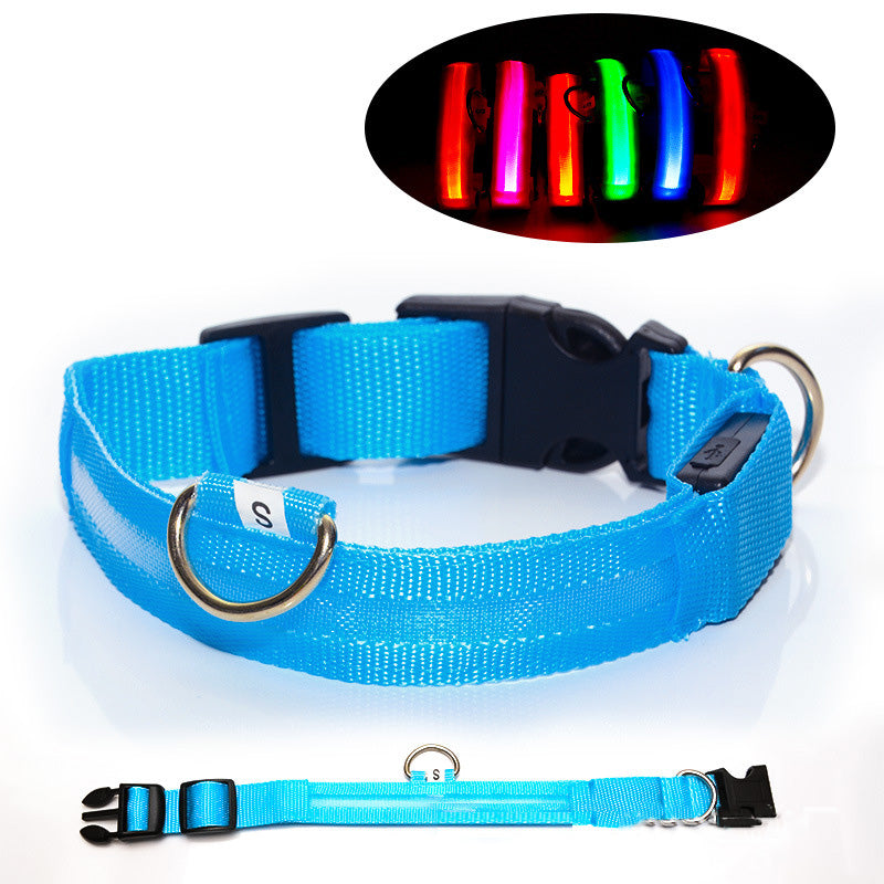 Pet LED Light-Up Collar