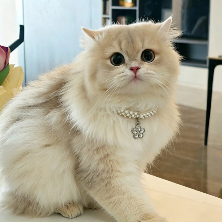 Adjustable rhinestone flower pet collar