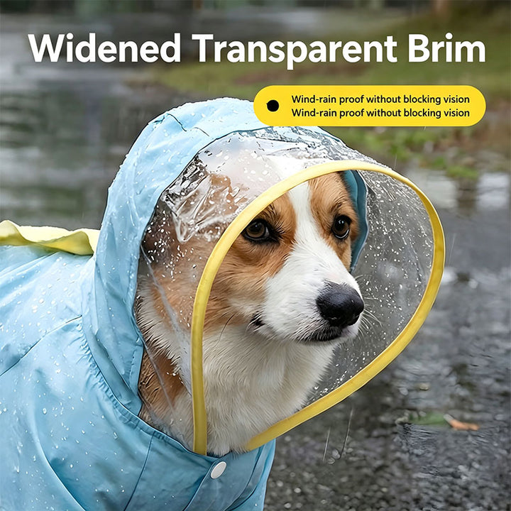 Full-coverage dog raincoat
