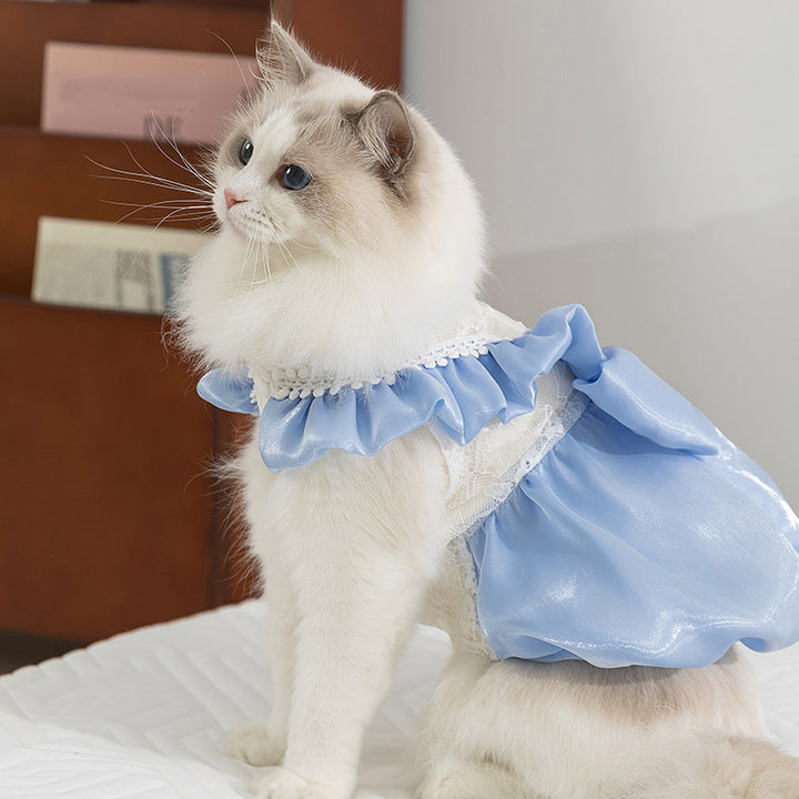 Cat-themed shimmering bow dress