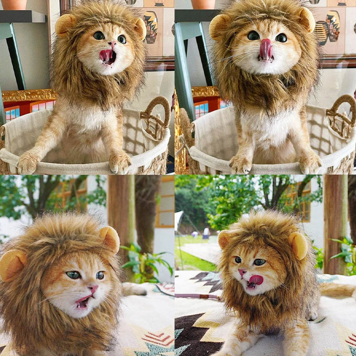 Lion Mane Costume for Pets