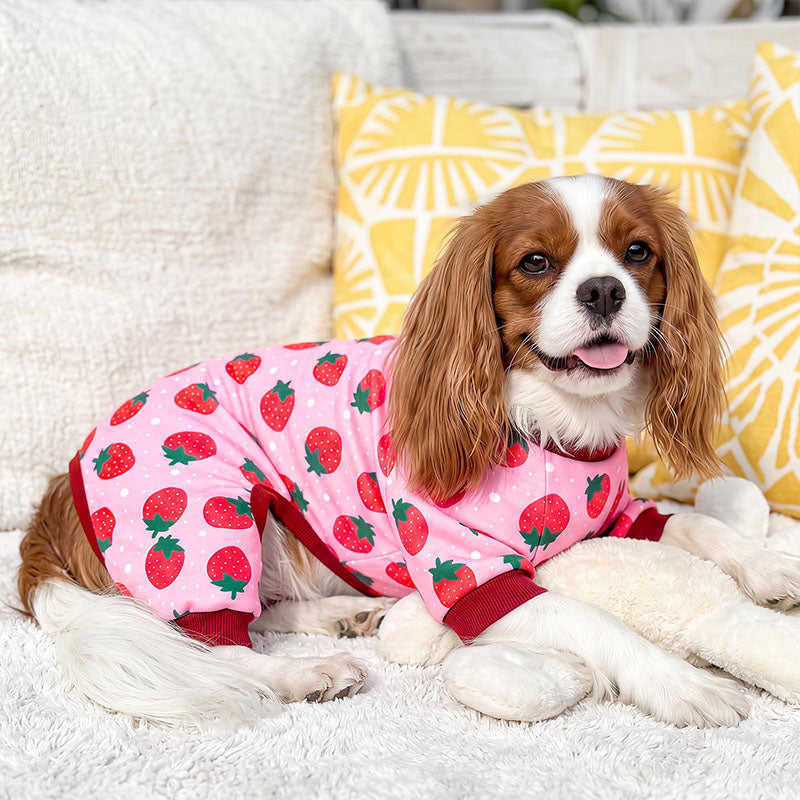 Animal-print pet onesie