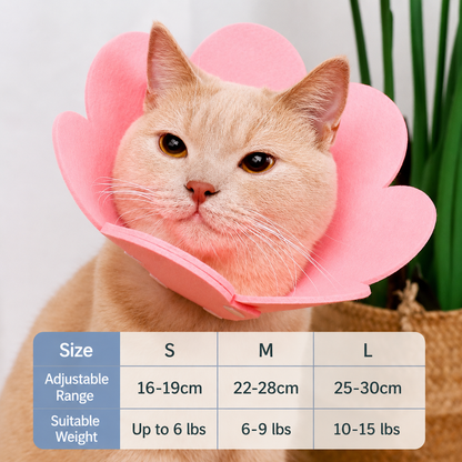 Cat collar