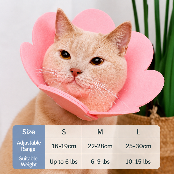 Cat collar