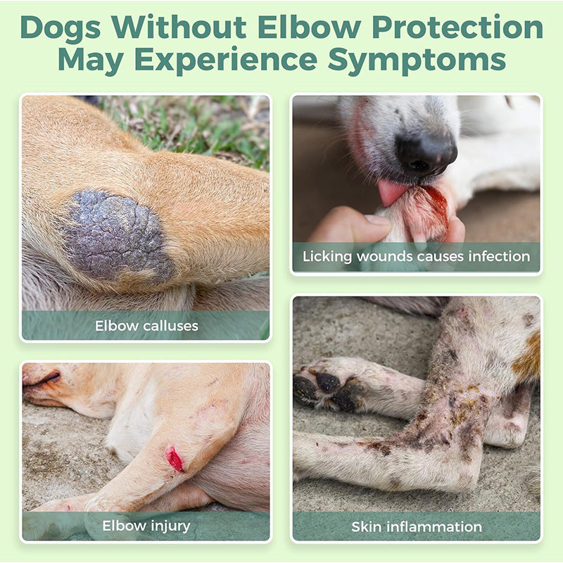 Reflective and breathable dog leg protector
