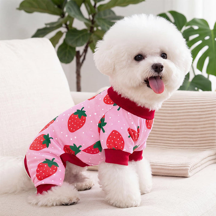 Animal-print pet onesie