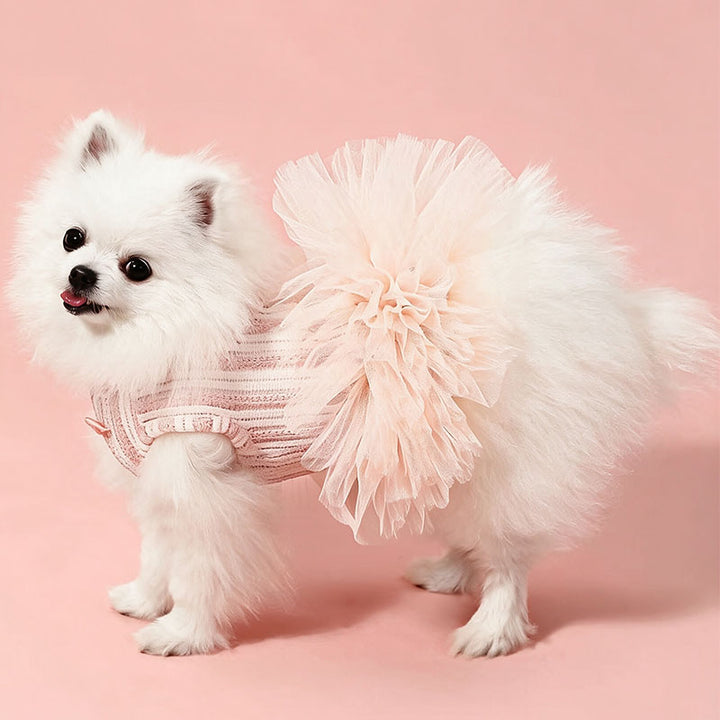 Lace Tutu Puppy Dress