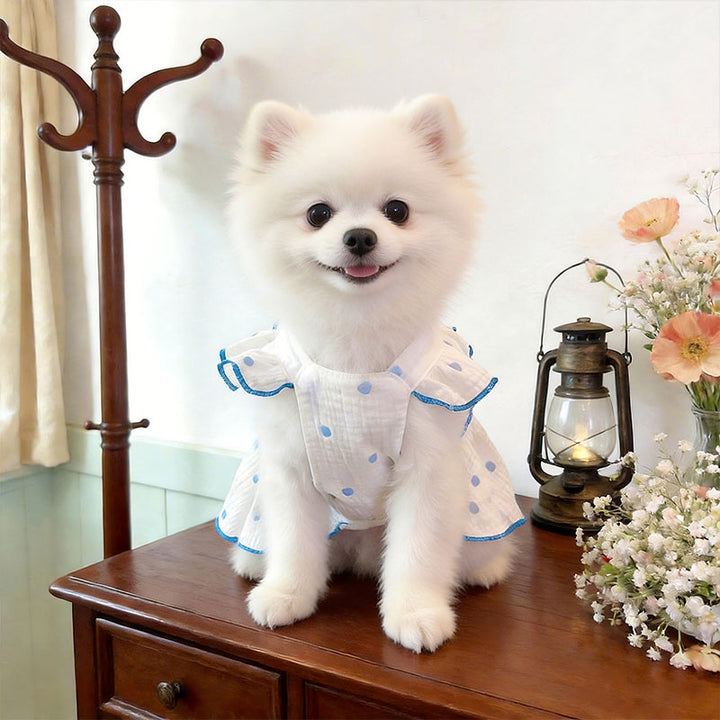 Bow Tie Pet Dress