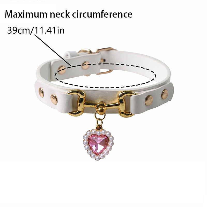 Stylish Pet Collar Accessory