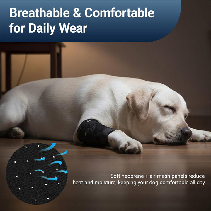 hind leg support for pet dogs