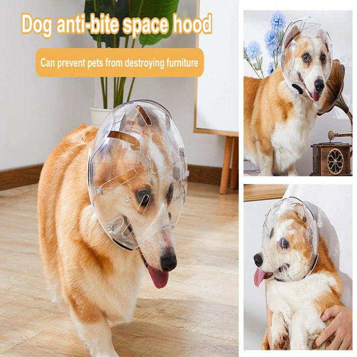 Protective Pet Head Cone