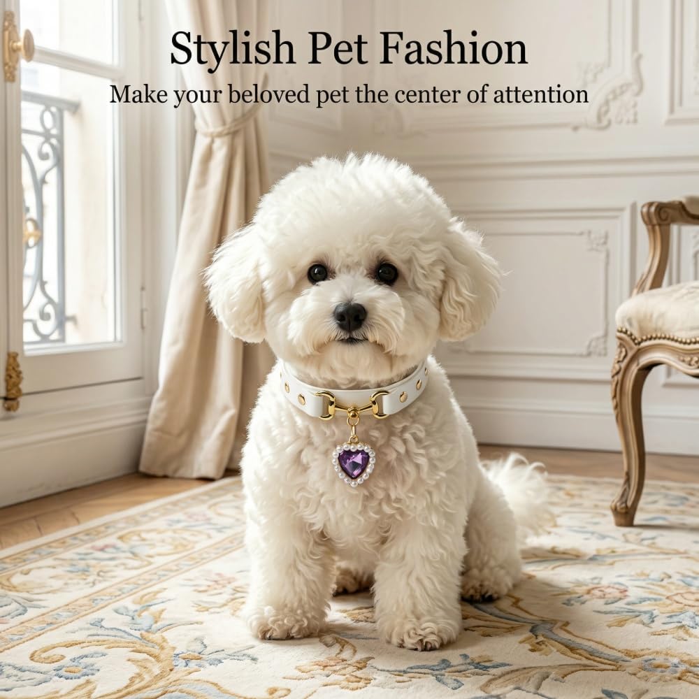 Stylish Pet Collar Accessory
