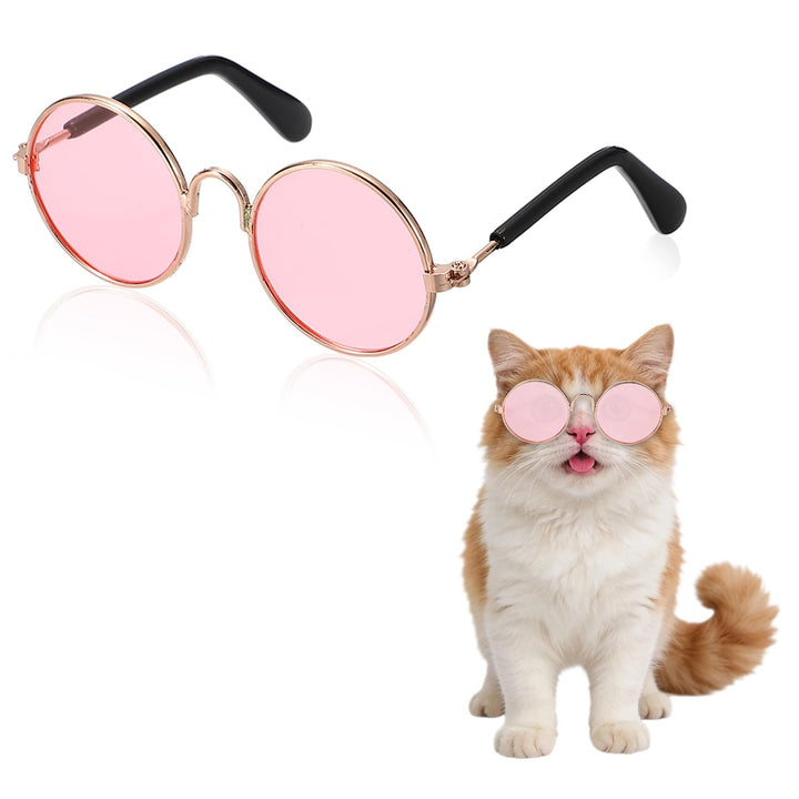 Cute Pet Cat Eye Glasses