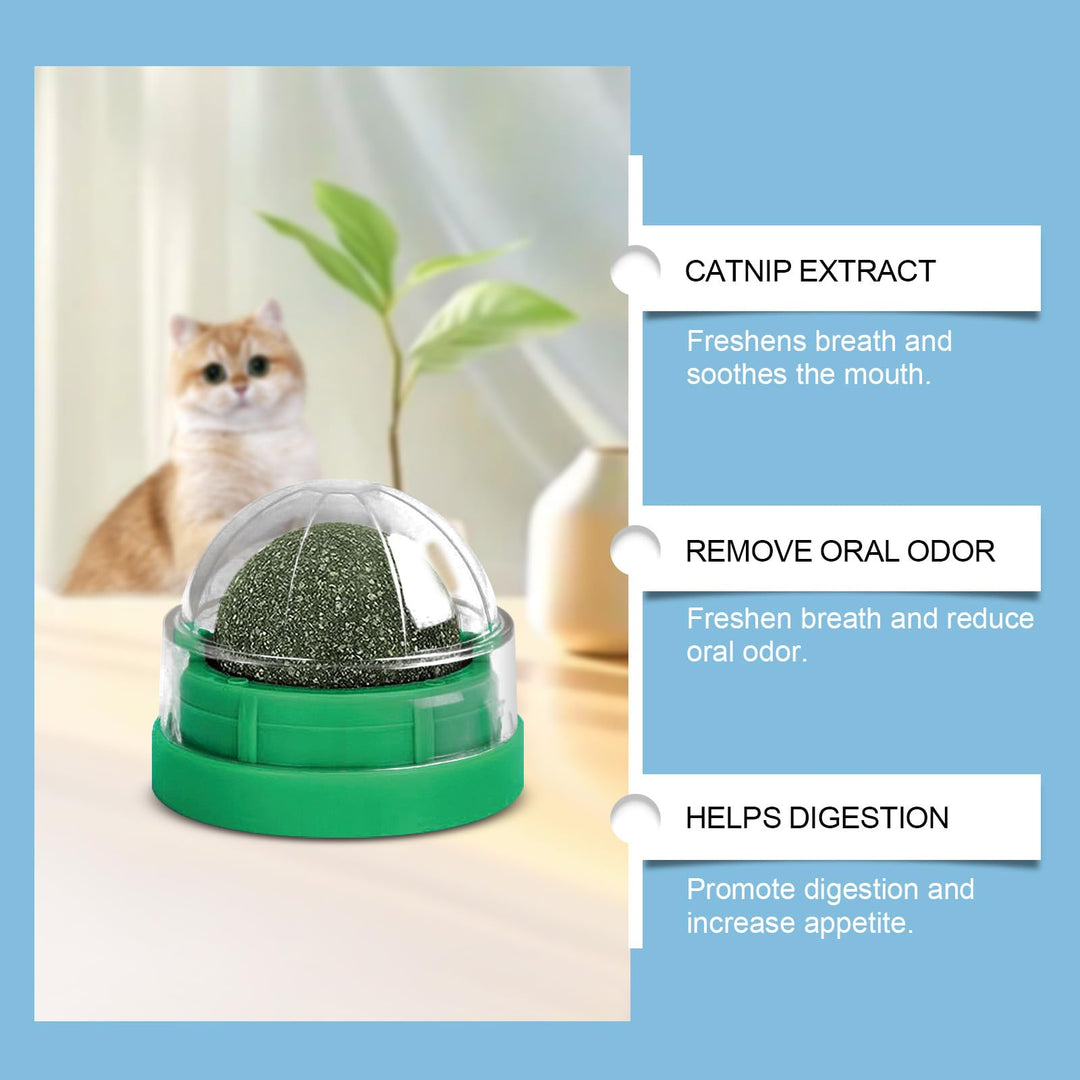 Catnip Ball Toy