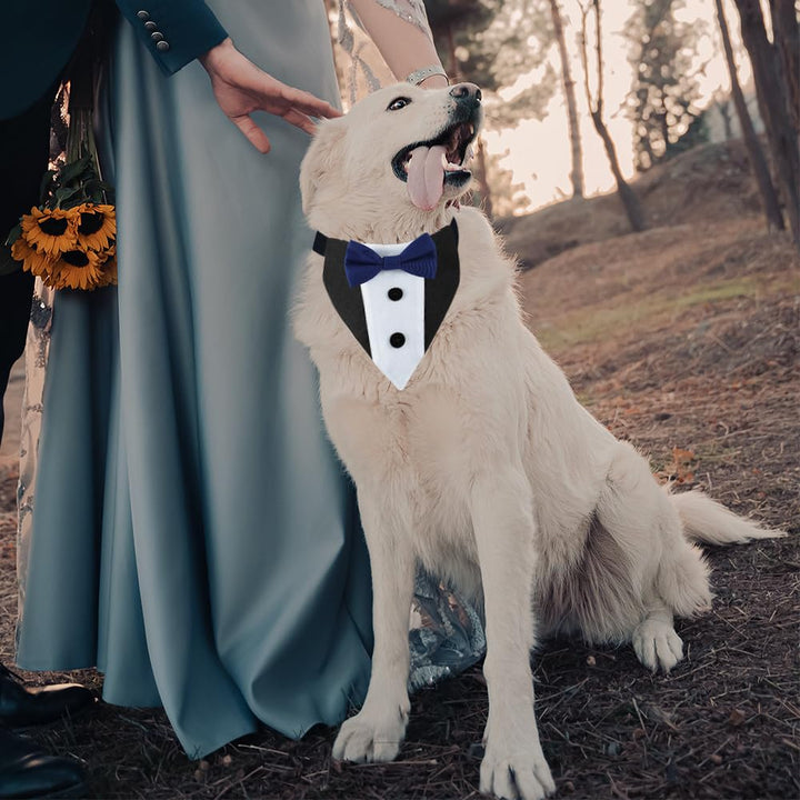 Pet Dog Tuxedo Bandana