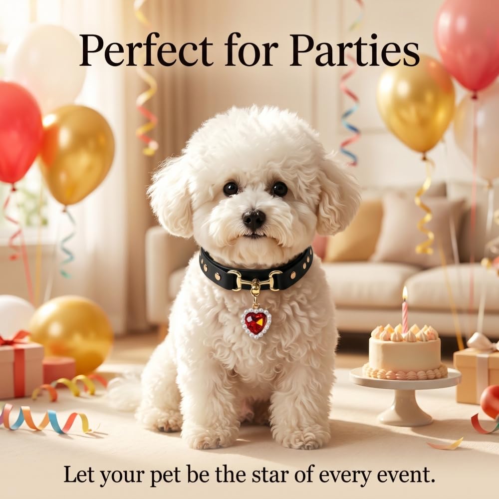 Stylish Pet Collar Accessory
