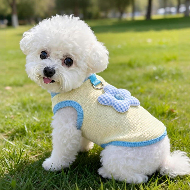 Pet Cooling Summer Vest