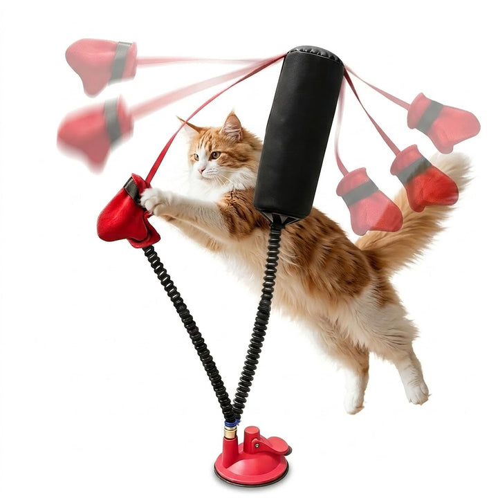 Self-Play Cat Sandbag Toy