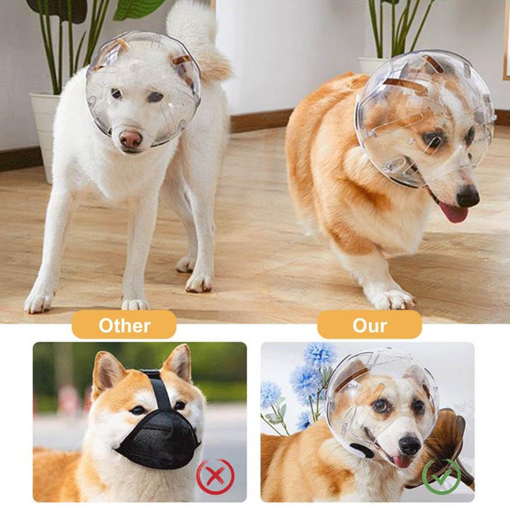 Protective Pet Head Cone