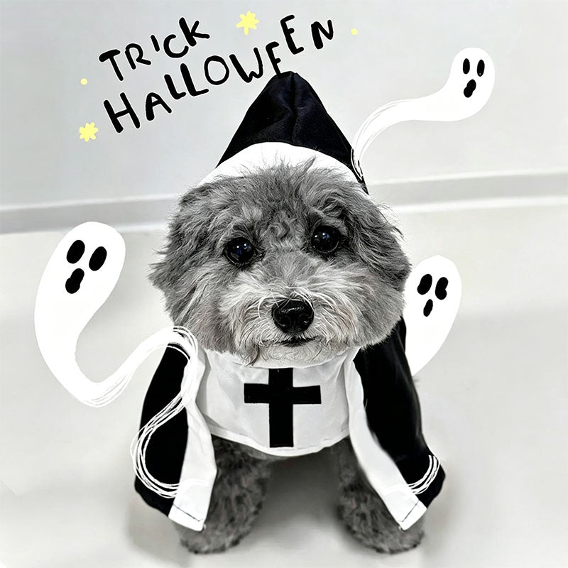 Halloween Pet Costume Set