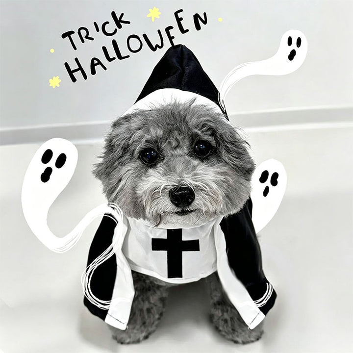Halloween Pet Costume Set