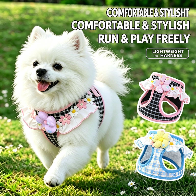 Anti-Escape Pet Harness and Leash Set