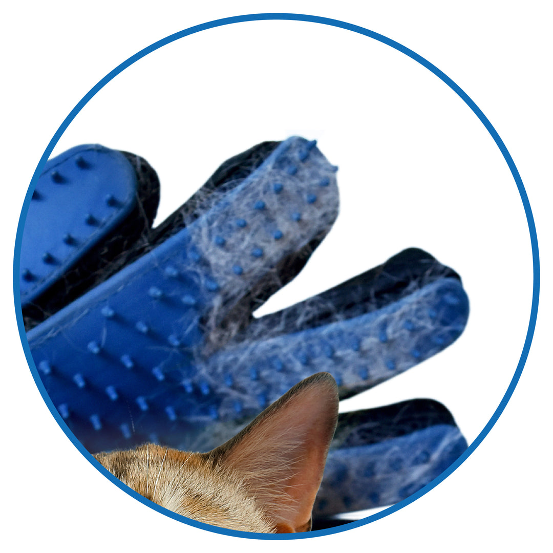 Pet Hair Remover Glove