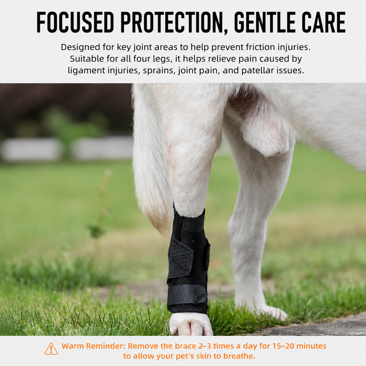 2nd Generation Dog Leg Recovery Brace