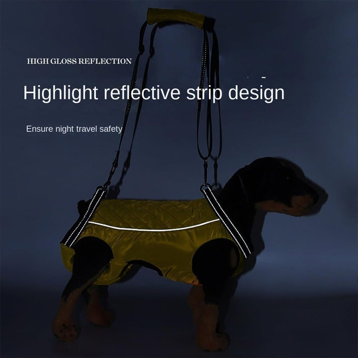 Multifunctional dog support suit