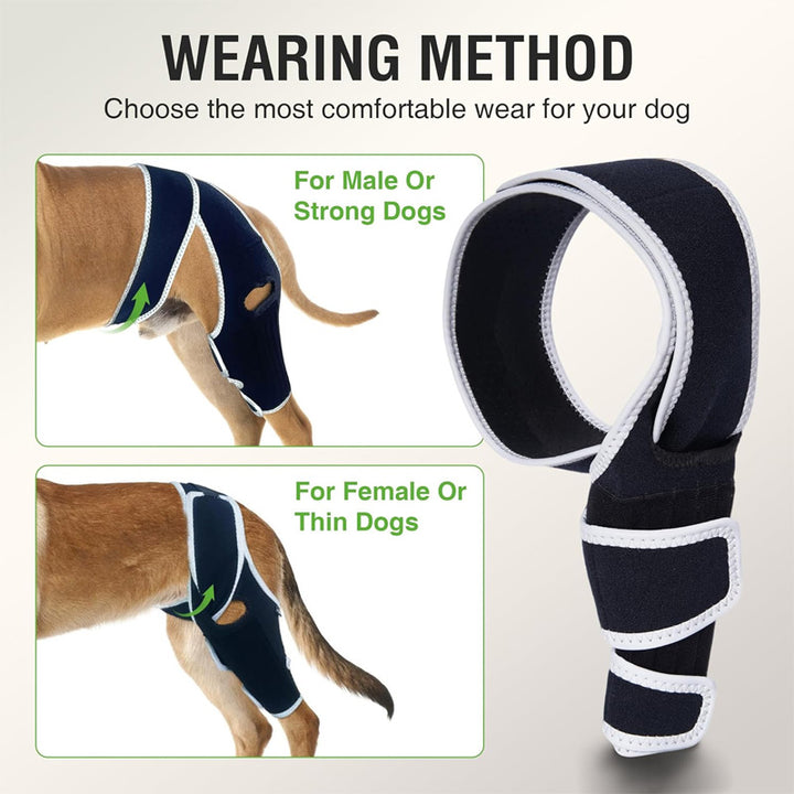 Adjustable universal knee brace for pets