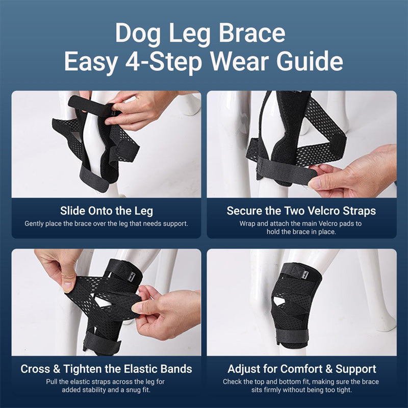 hind leg support for pet dogs