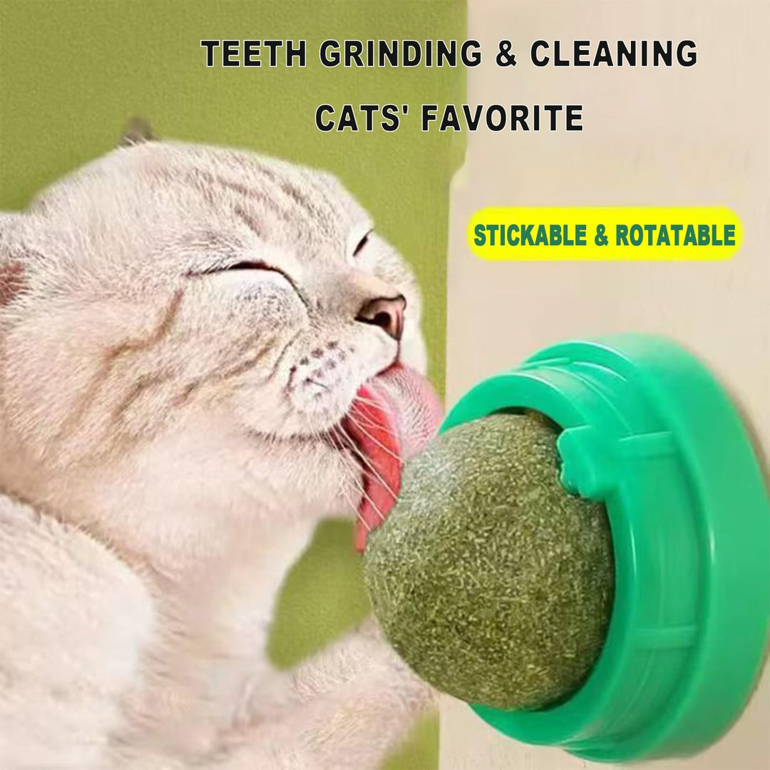 Catnip Ball Toy