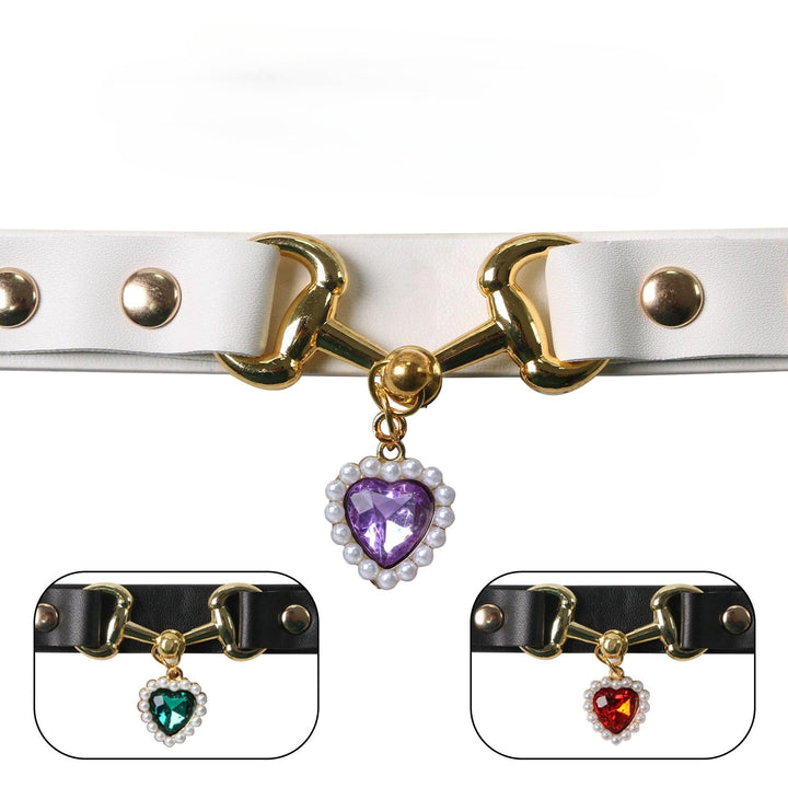 Stylish Pet Collar Accessory