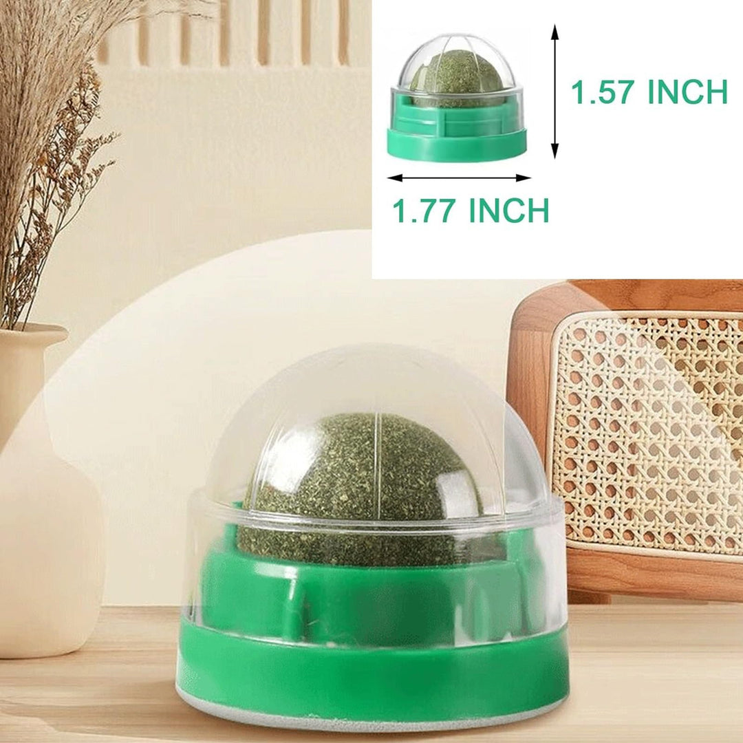 Catnip Ball Toy