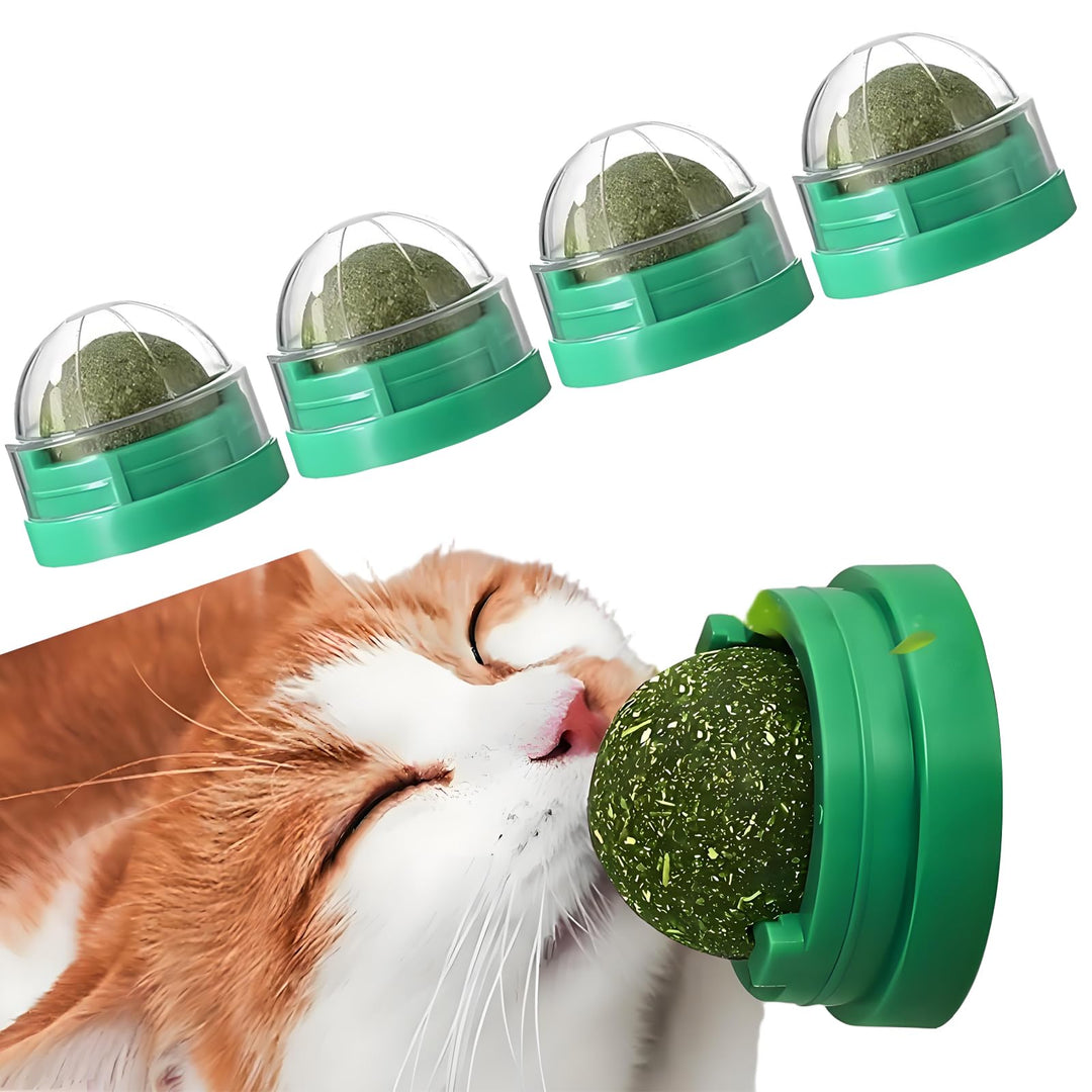 Catnip Ball Toy