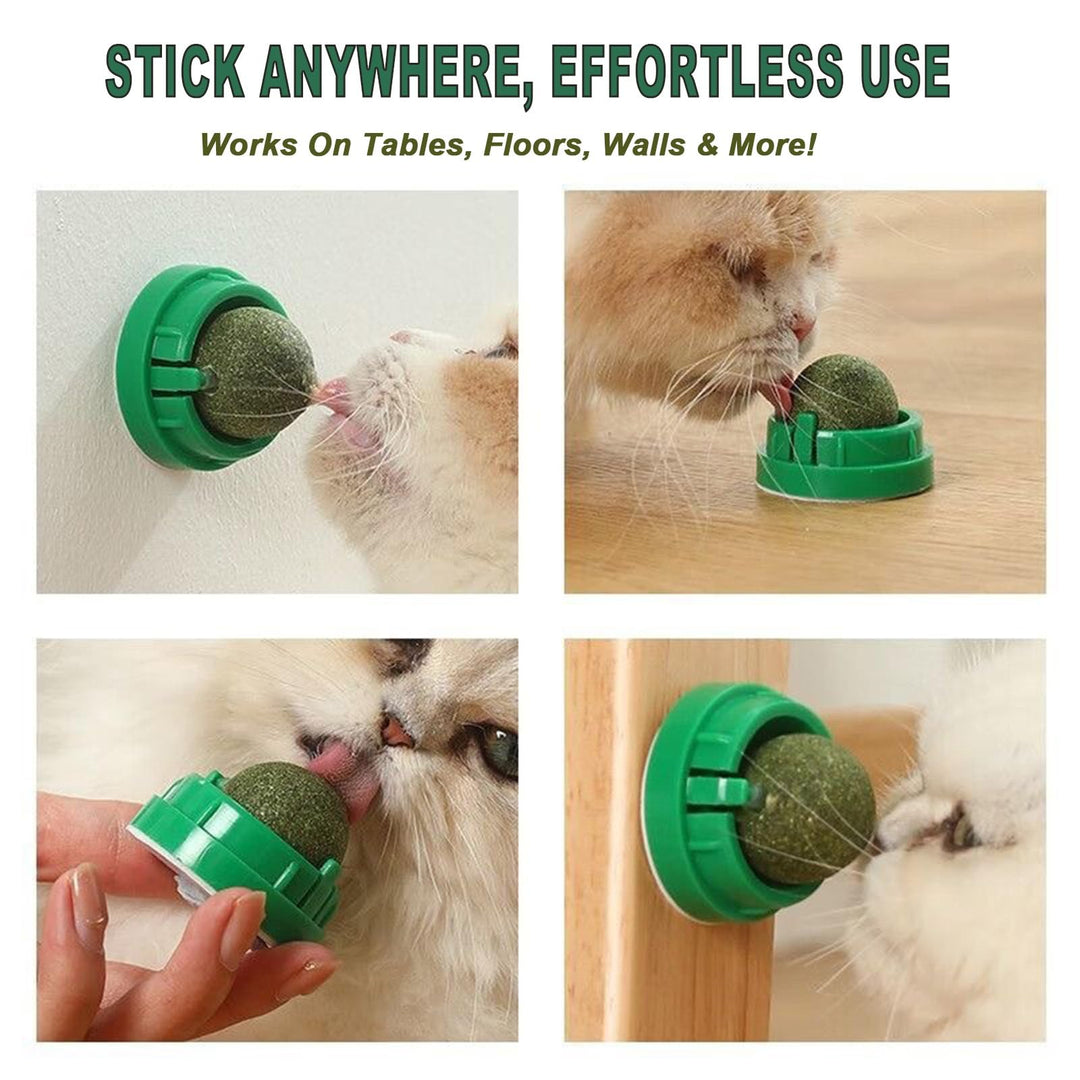 Catnip Ball Toy