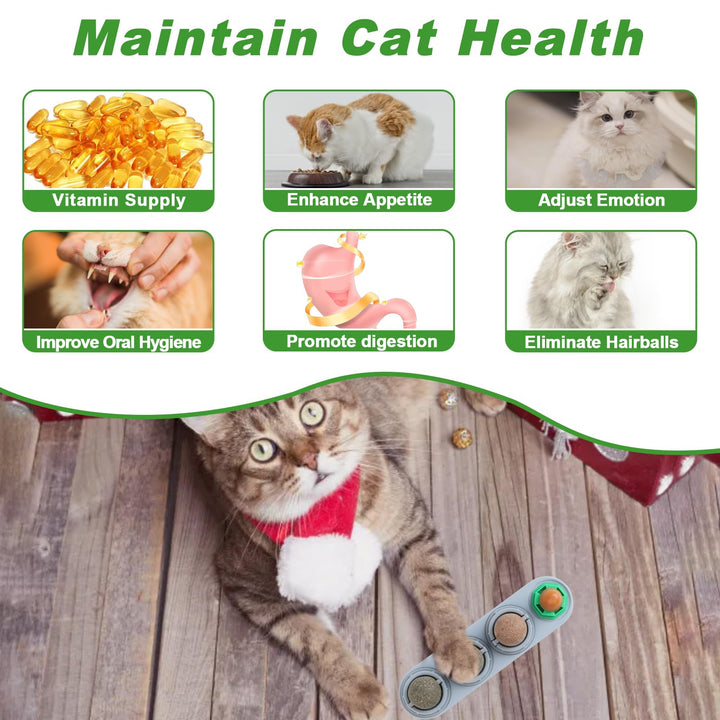 Catnip Self Play Toy