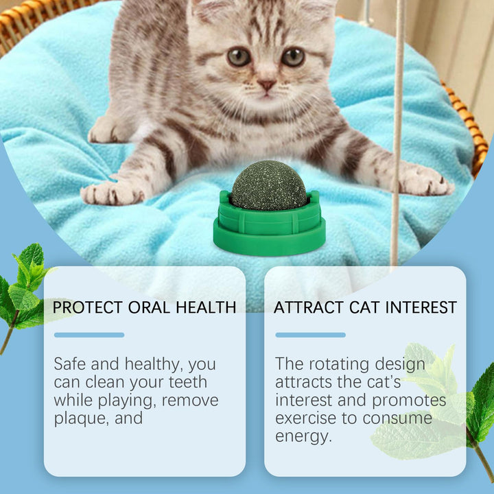 Catnip Ball Toy