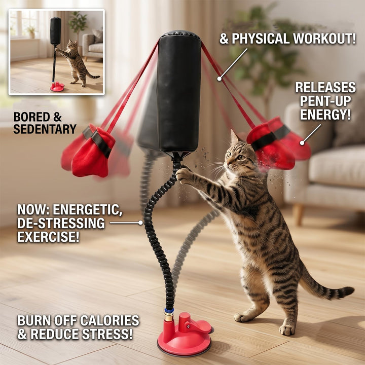 Self-Play Cat Sandbag Toy