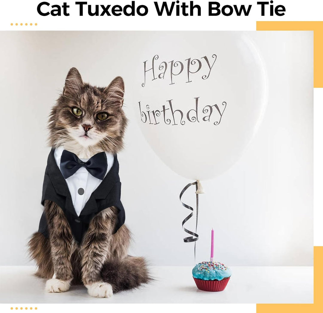 Cat Tuxedo Outfit
