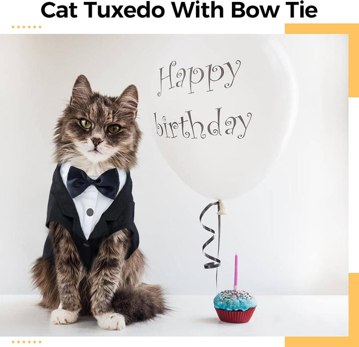 Cat Tuxedo Outfit