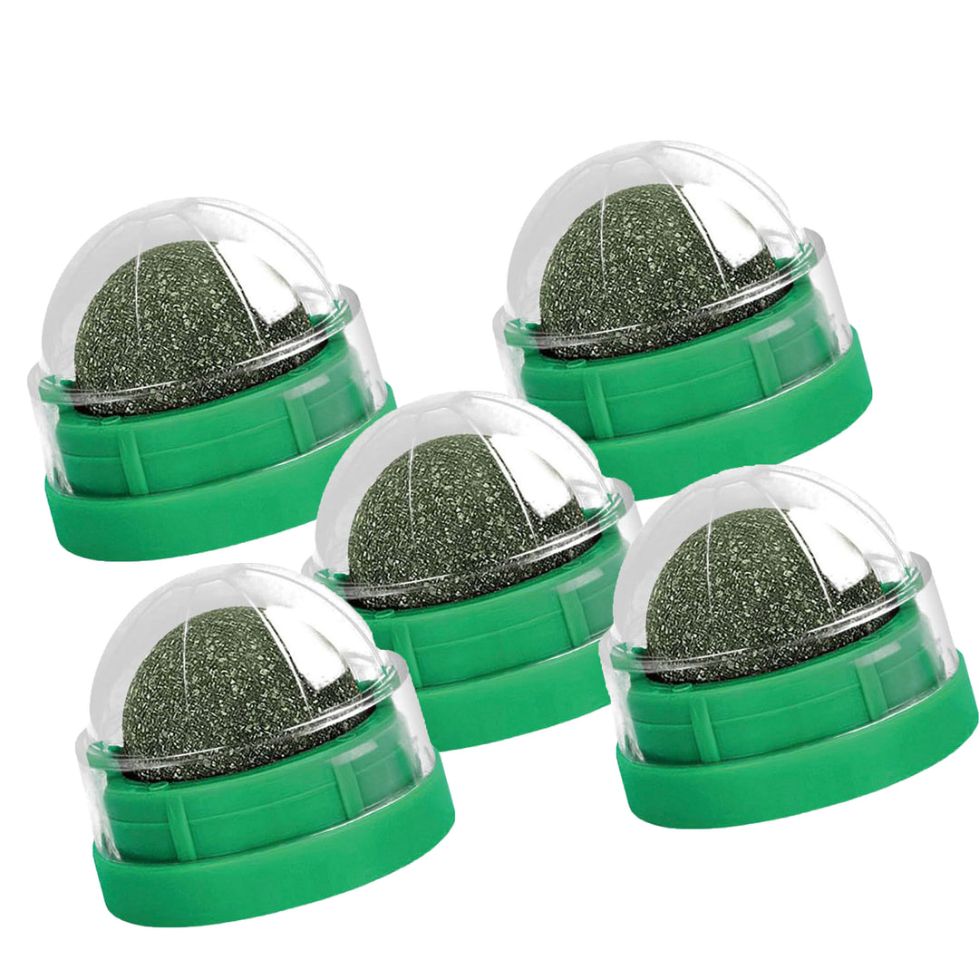 Catnip Ball Toy