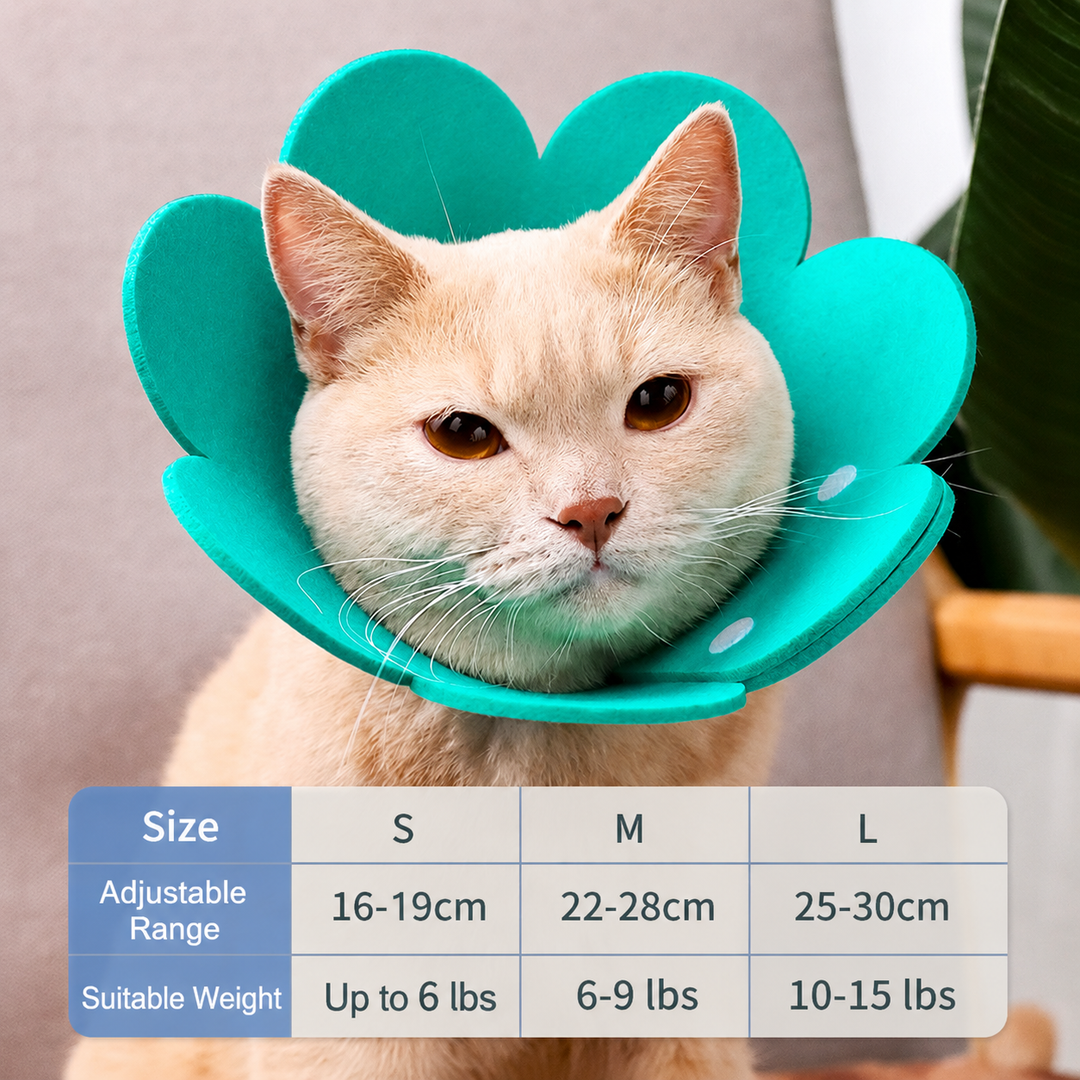 Cat collar