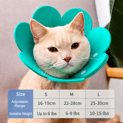 Cat collar