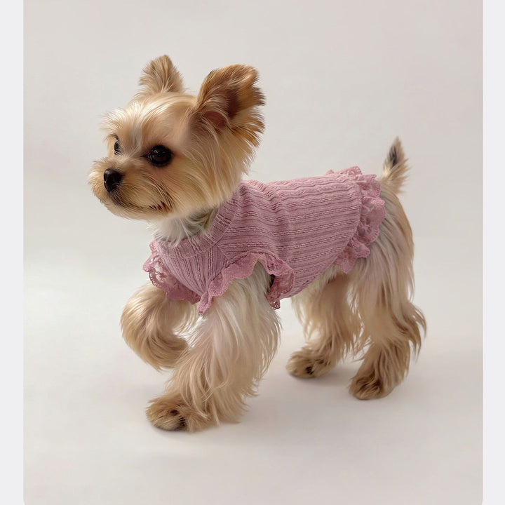 Lace Ruffle Knit Shirts for Small Dogs