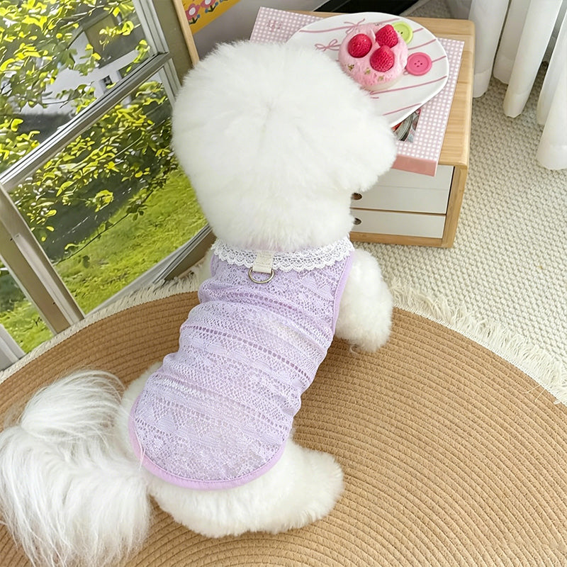 Pet mesh openwork vest